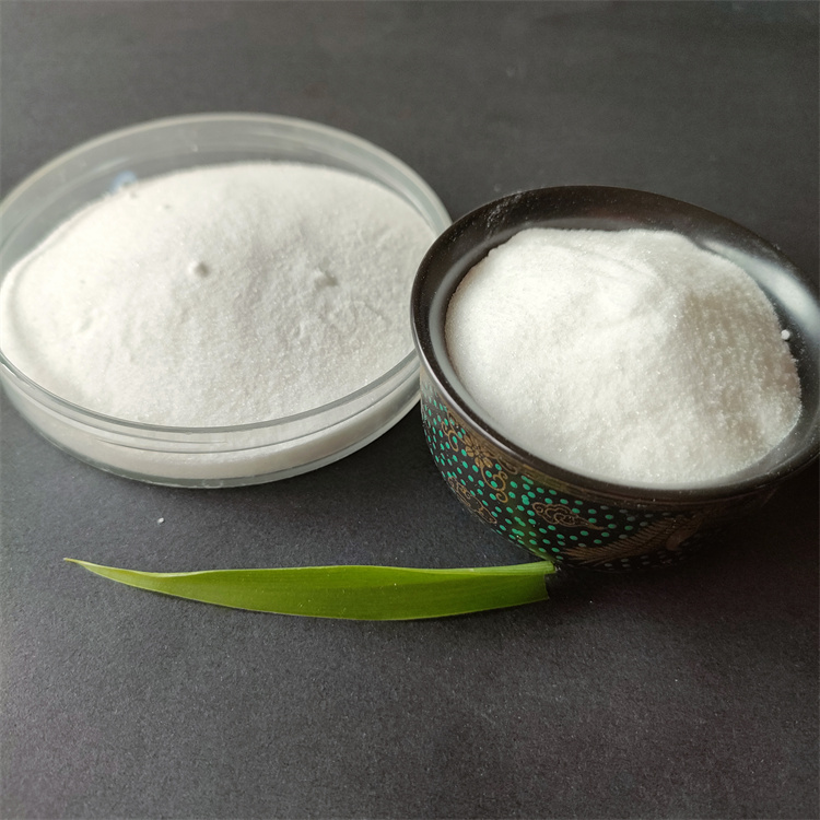 �۠�۱�ϩ����