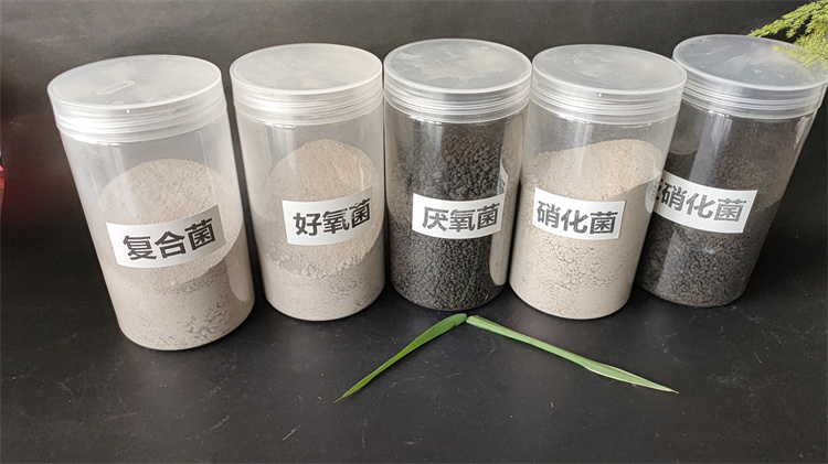 ΢������N